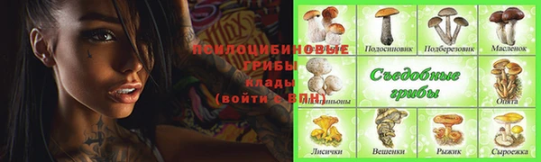 ALPHA-PVP Армянск