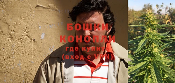 стафф Аркадак