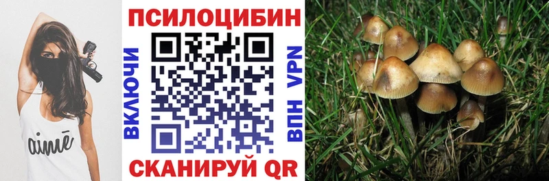 Псилоцибиновые грибы Psilocybine cubensis  Сурск 